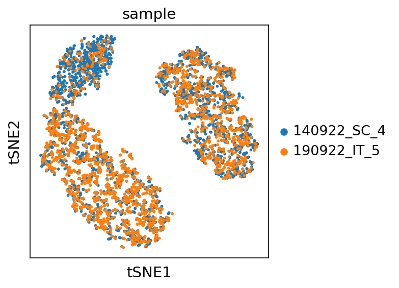 ../_images/tsne_by_sample.png