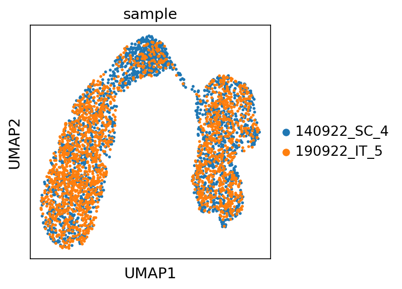 ../_images/umap_by_sample.png