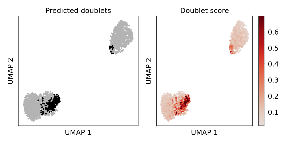 ../_images/umap_doublet.png