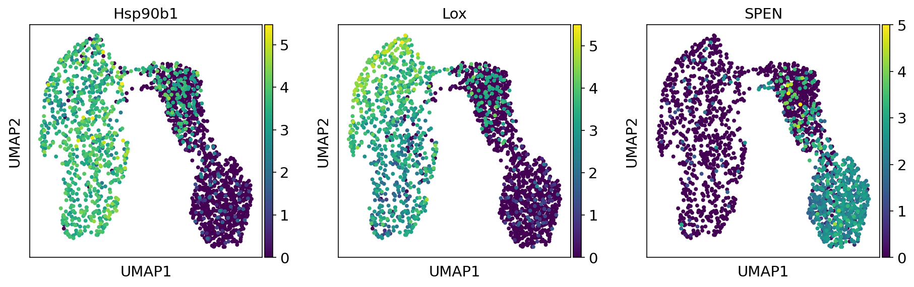 ../_images/umap_genes_of_interest.png